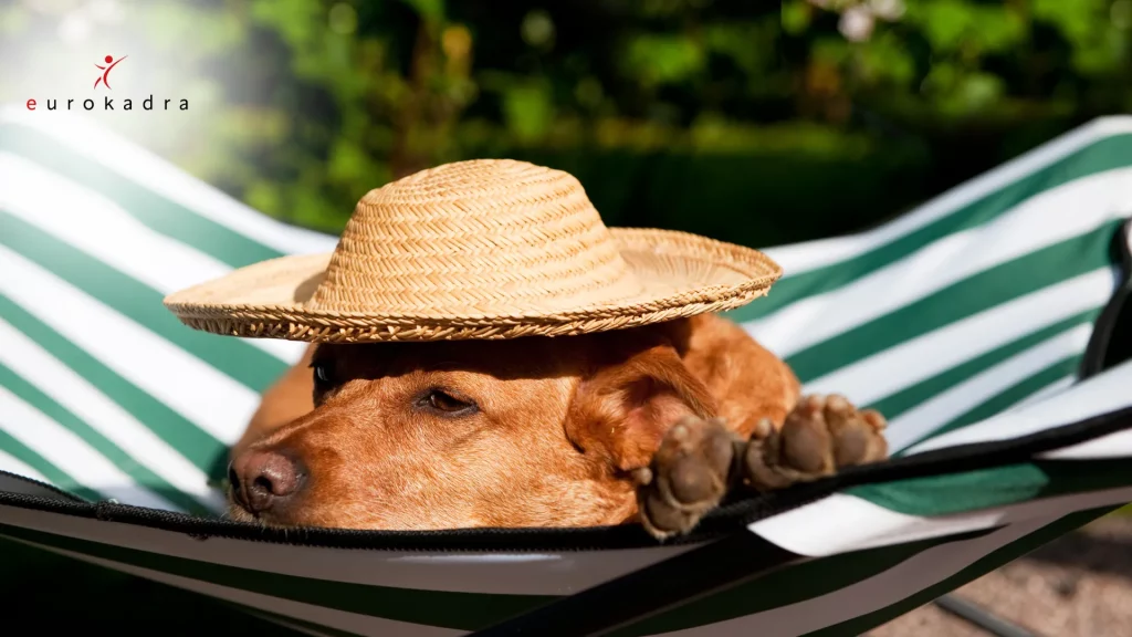 2-week leave - is it mandatory? 3 2-week leave